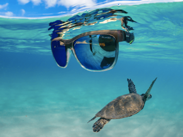 Being Part of the Solution Not the Problem - Bomber Eyewear