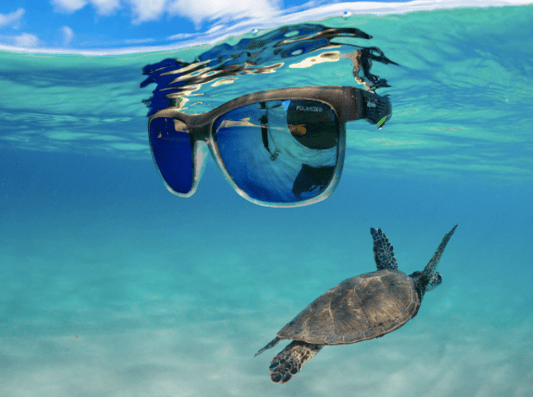 Being Part of the Solution Not the Problem - Bomber Eyewear