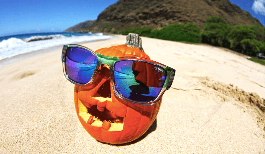 Halloween Costumes to Rock With Sunnies - Bomber Eyewear