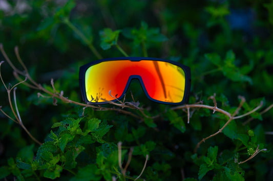 Let's Meet: The FUZZ Bomb! - Bomber Eyewear