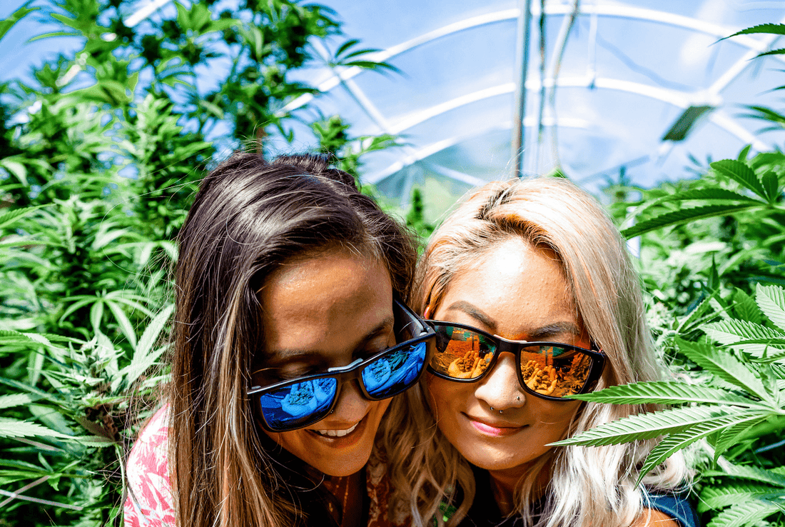 The 4/20 Special -- You've Got A Friend In Bomber! - Bomber Eyewear