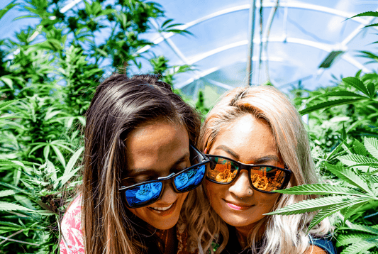 The 4/20 Special -- You've Got A Friend In Bomber! - Bomber Eyewear