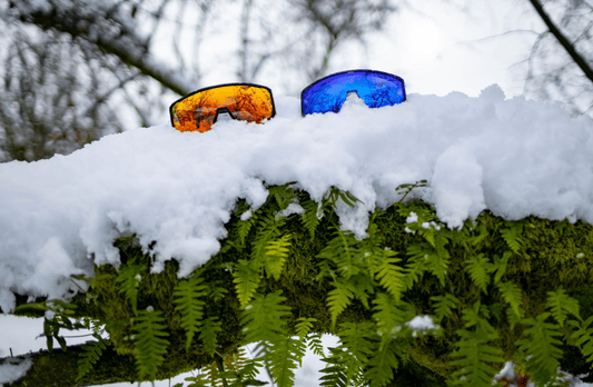 The Best Glasses for Snow - Bomber Eyewear