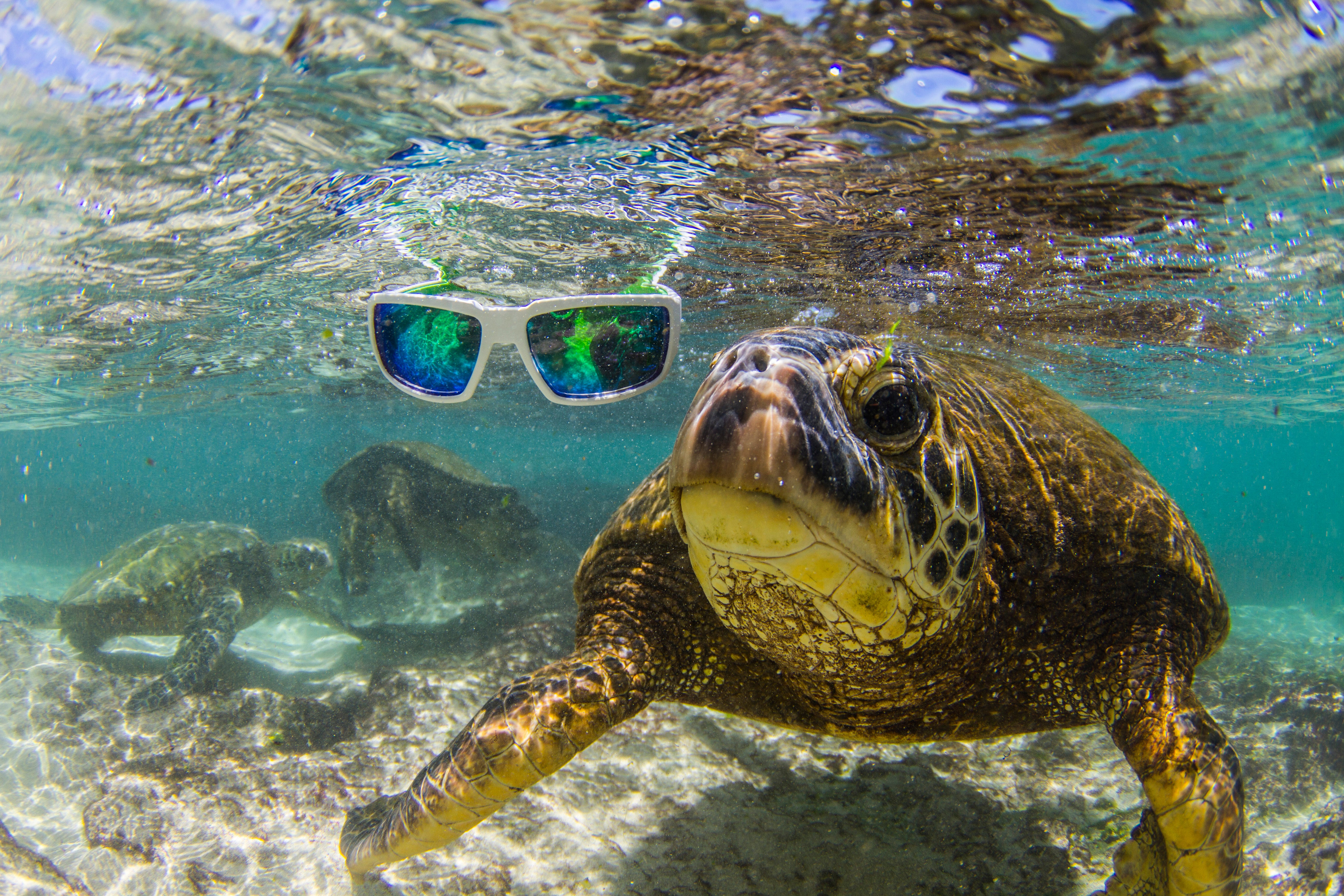 Underwater sunglasses clearance