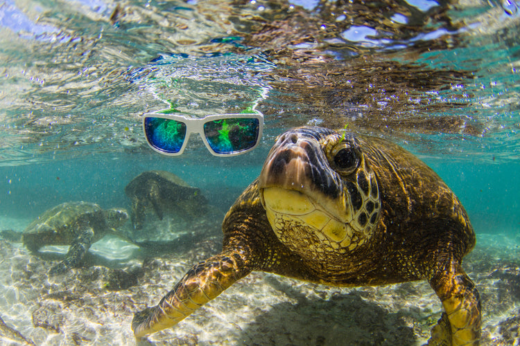 All Sunglasses (Floating & Non-Floating) - Bomber Eyewear