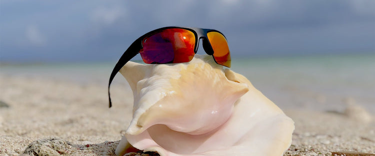 REGGIE Bomb - Bomber Eyewear