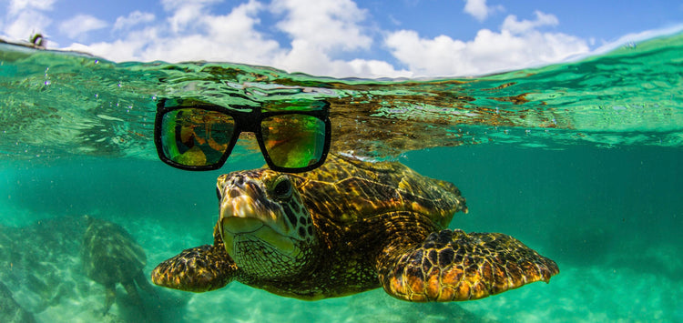 Sale - Bomber Eyewear