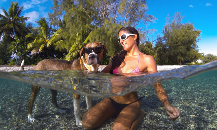 SUGAR Bomb - Bomber Eyewear