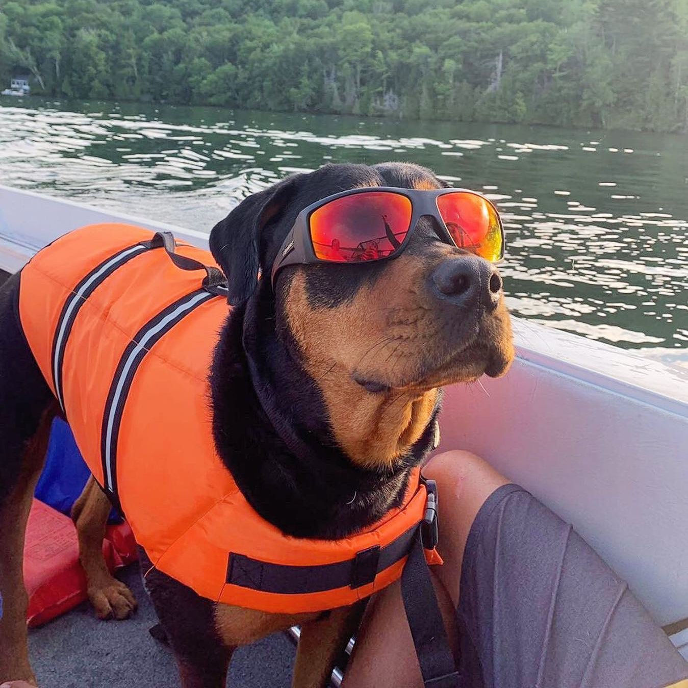 AHI Safety - Polarized Red Mirror - Safety Glasses - Bomber Eyewear - AH111RM