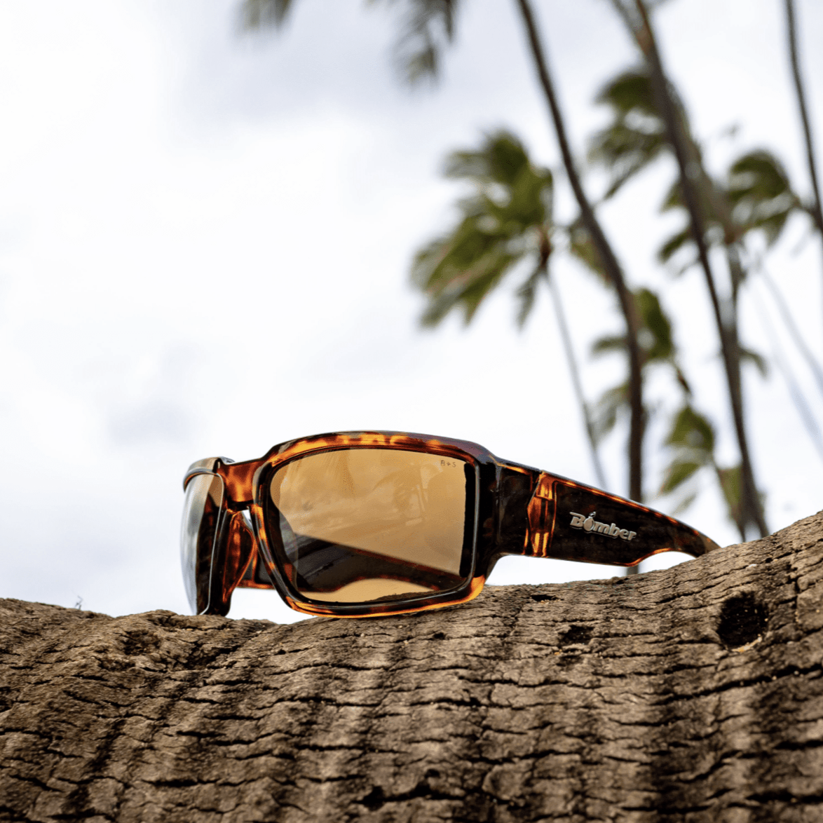 BOOGIE - Polarized Tortoise - Sunglasses - Bomber Eyewear - BG112