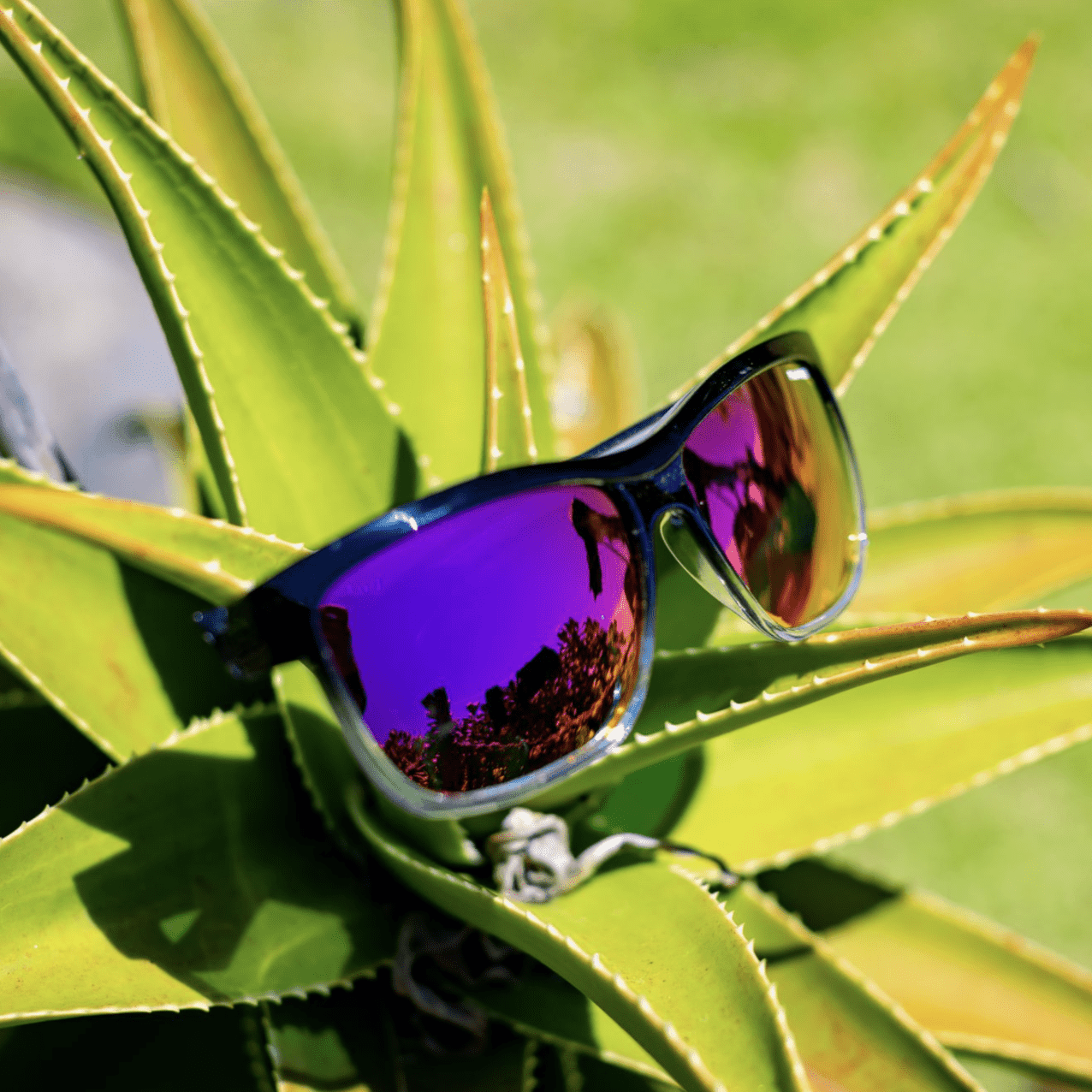 JACO - Polarized Revo Pink Mirror Crystal - Sunglasses - Bomber Eyewear - JA114PM