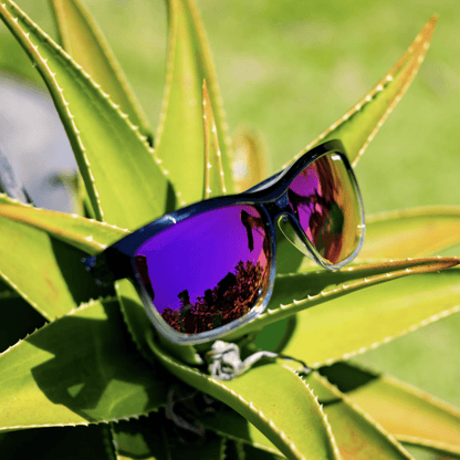 JACO - Polarized Revo Pink Mirror Crystal - Sunglasses - Bomber Eyewear - JA114PM