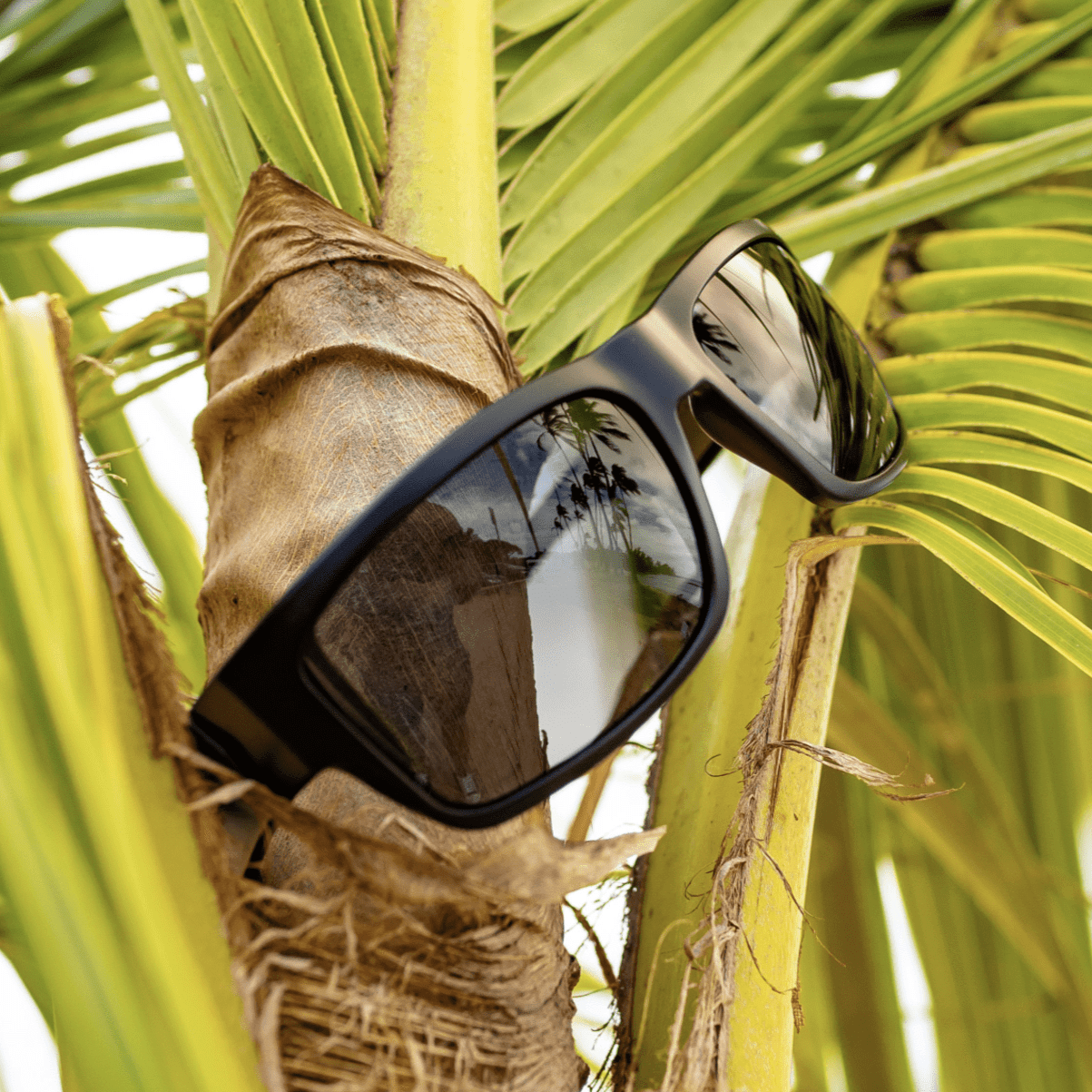 TIGER Safety - Polarized Smoke - Safety Glasses - Bomber Eyewear - TR111