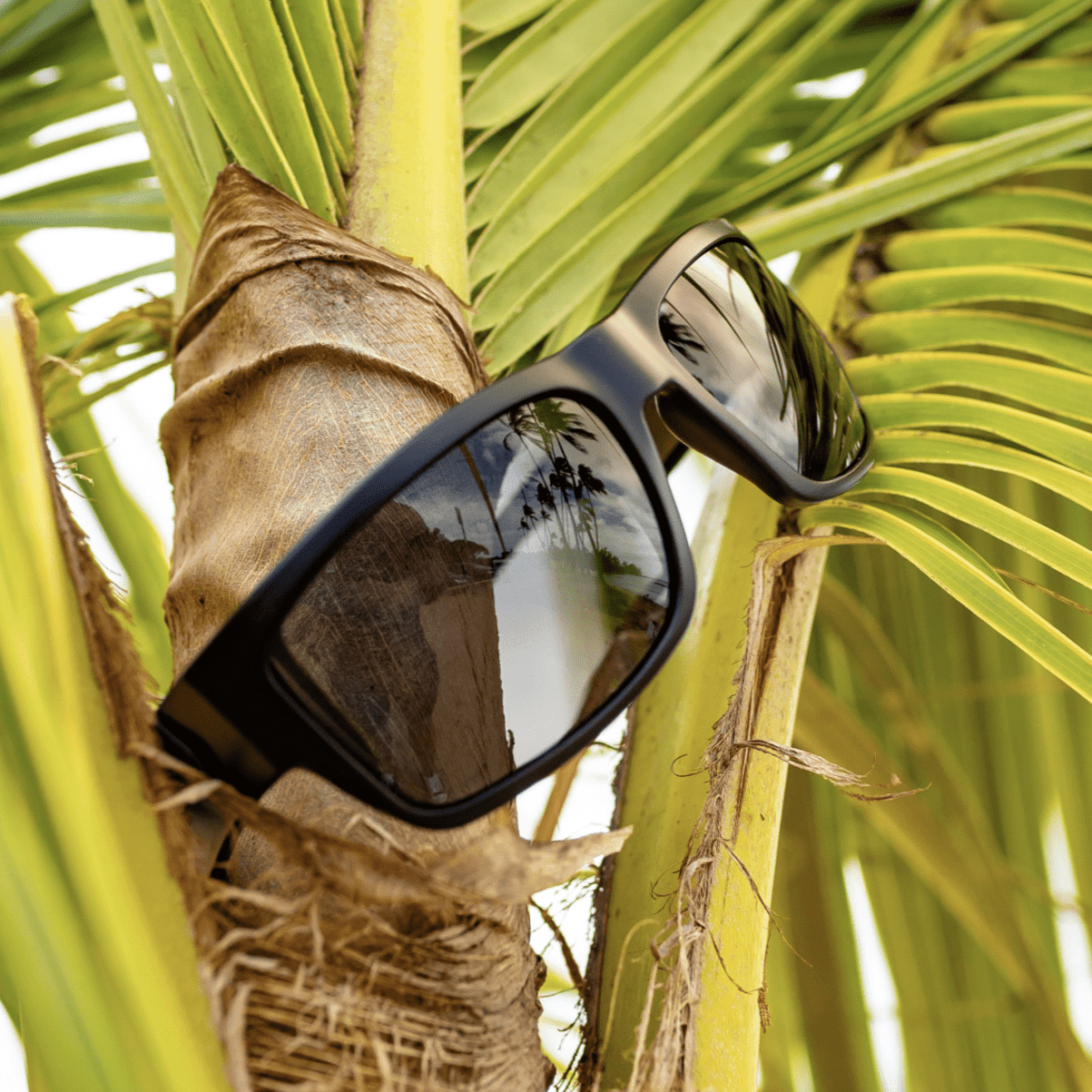 TIGER Safety - Smoke - Safety Glasses - Bomber Eyewear - TR103