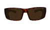 PIPE - Polarized Tortoise