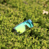 BUZZ Bomb Safety - Polarized Green Mirror Crystal