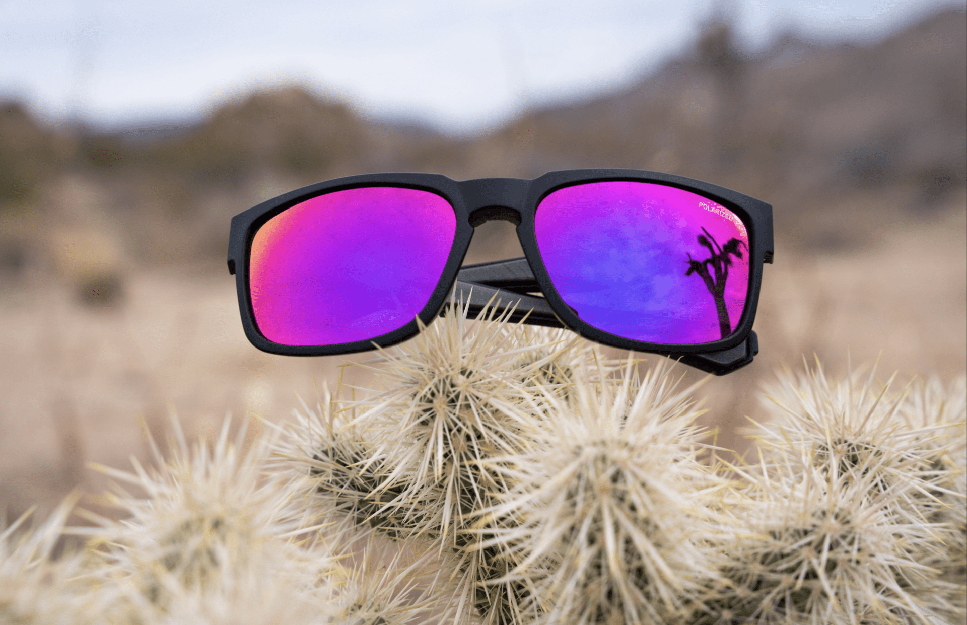 Polarized Pink Sunglasses with Matte Frame