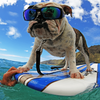 PIPE Safety - Polarized Green Mirror