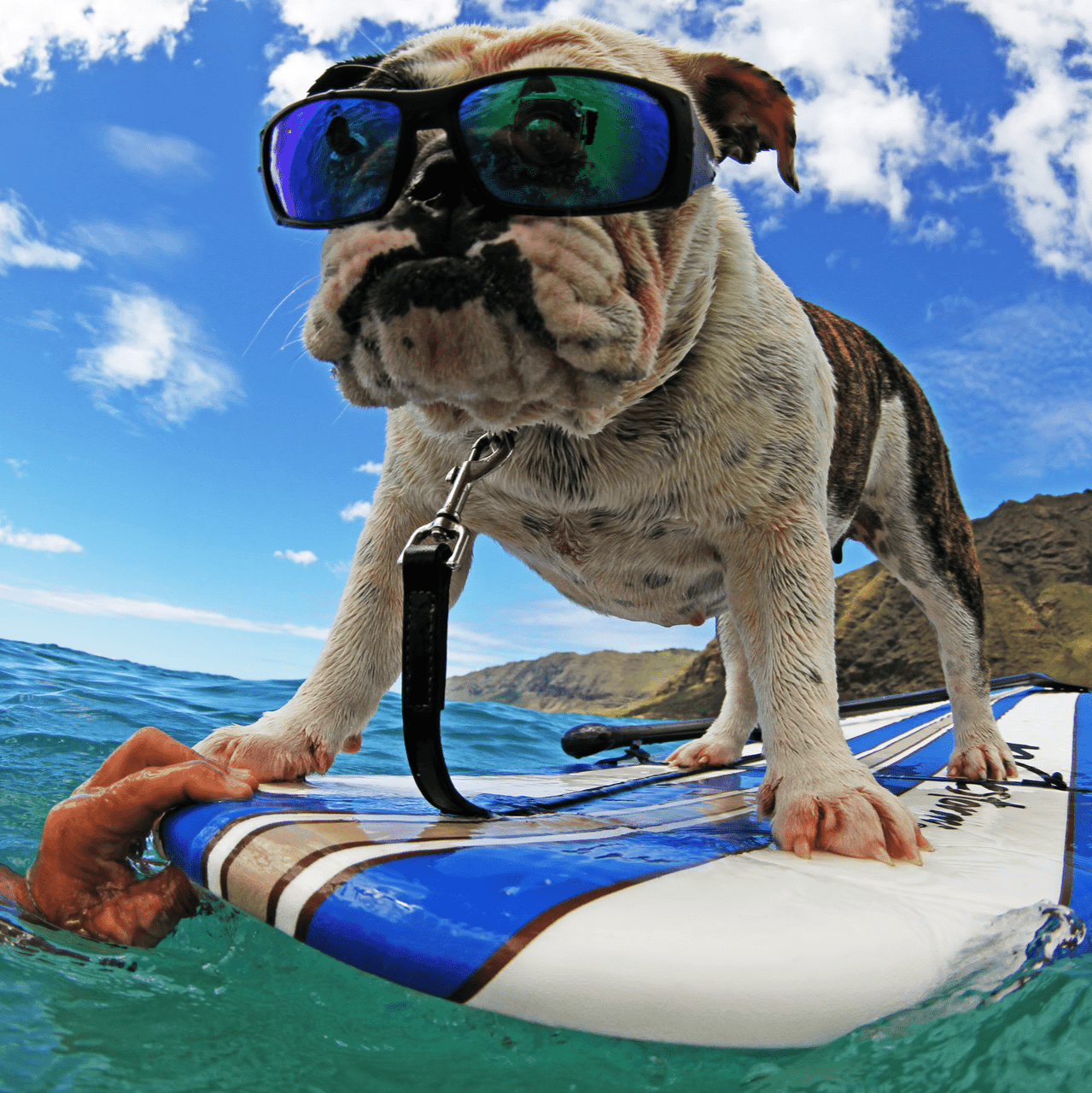 PIPE Safety - Green Mirror - Safety Glasses - Bomber Eyewear - PB103GM